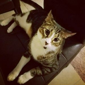 Meet your Posher, Hilary